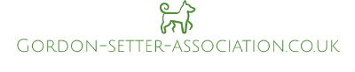 Gordon-setter-association.co.uk